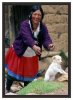 11/peru 27 (Small).jpg